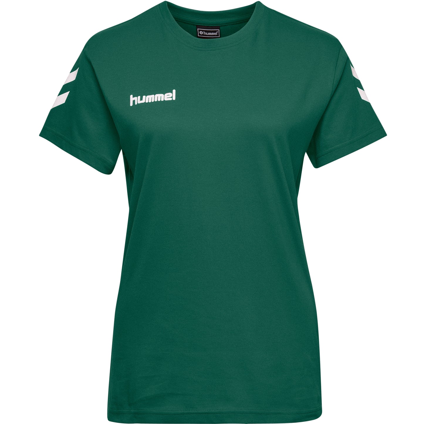 6140-EVERGREEN