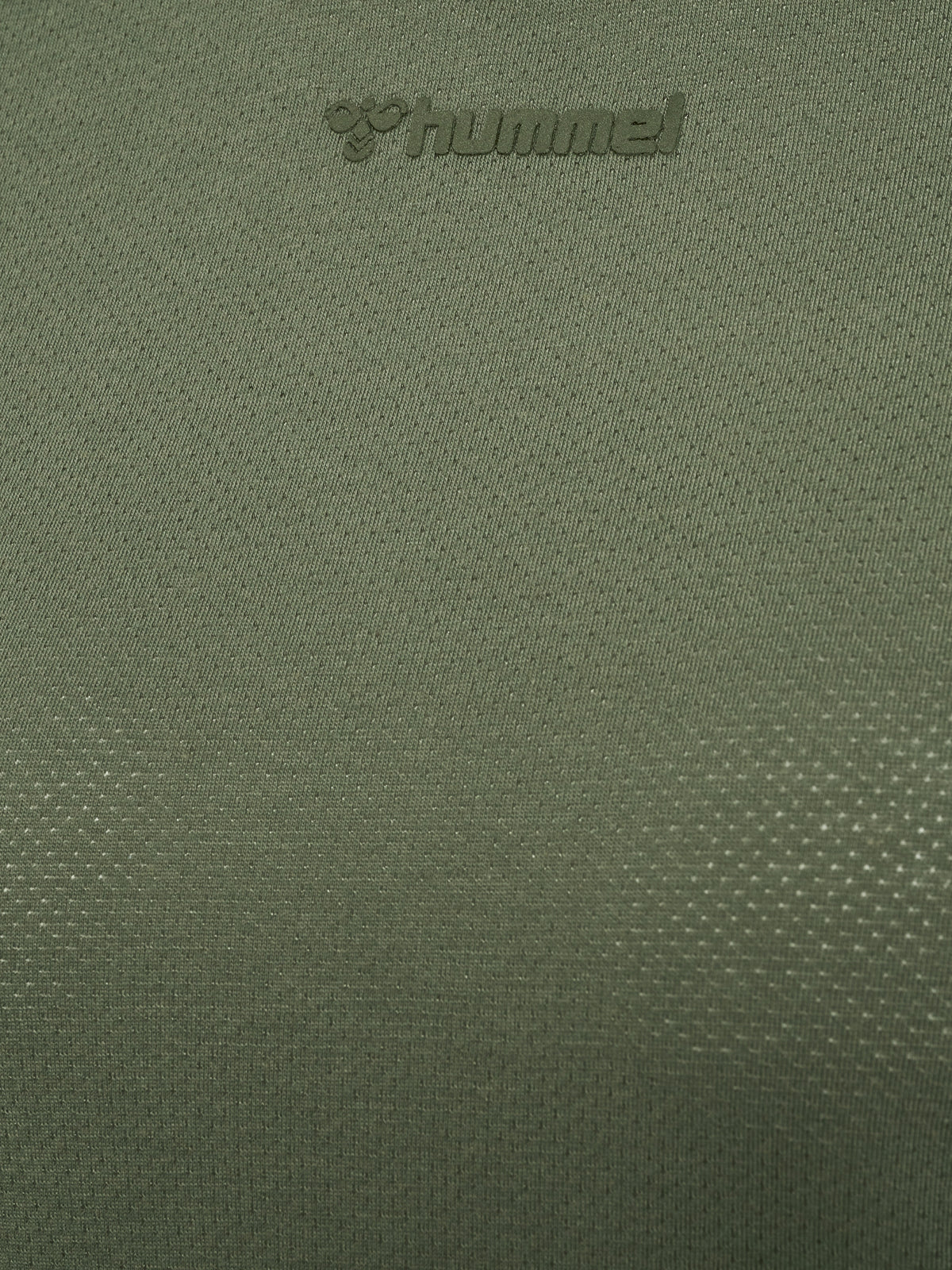 6754-DEEP LICHEN GREEN