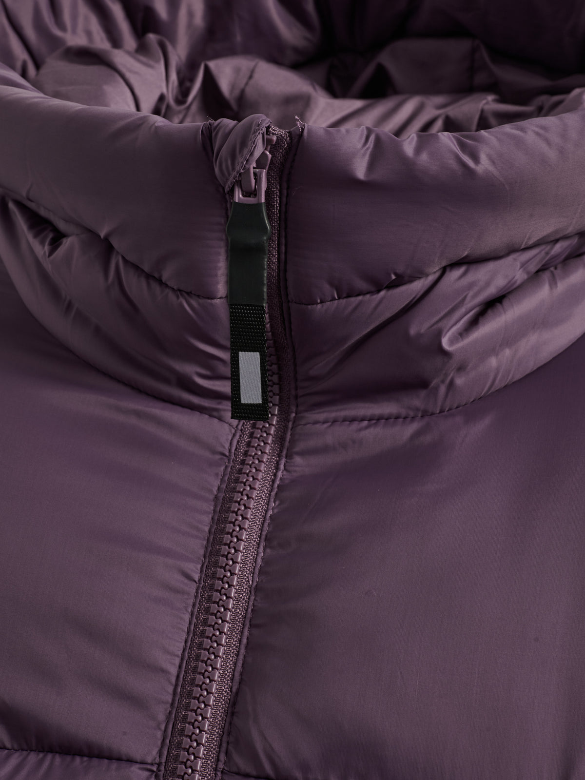 4856-BLACK PLUM