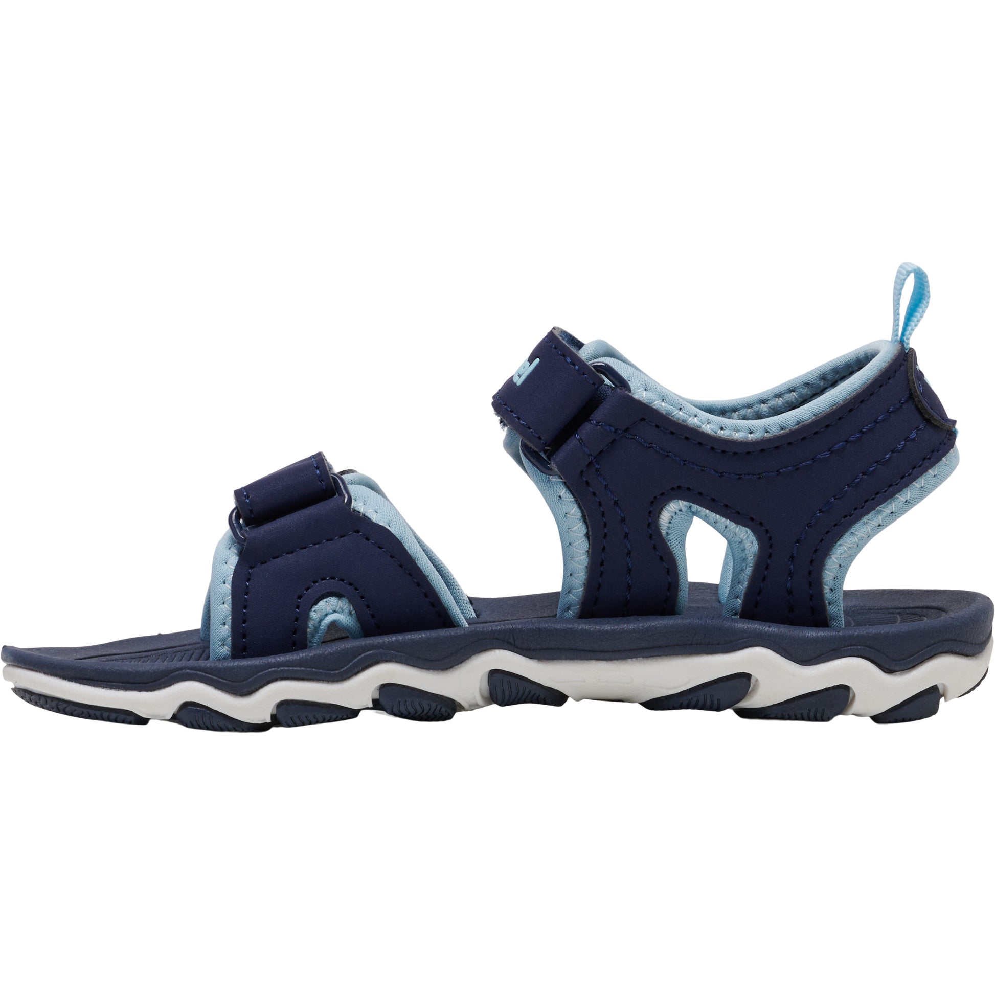 1009-BLACK IRIS
