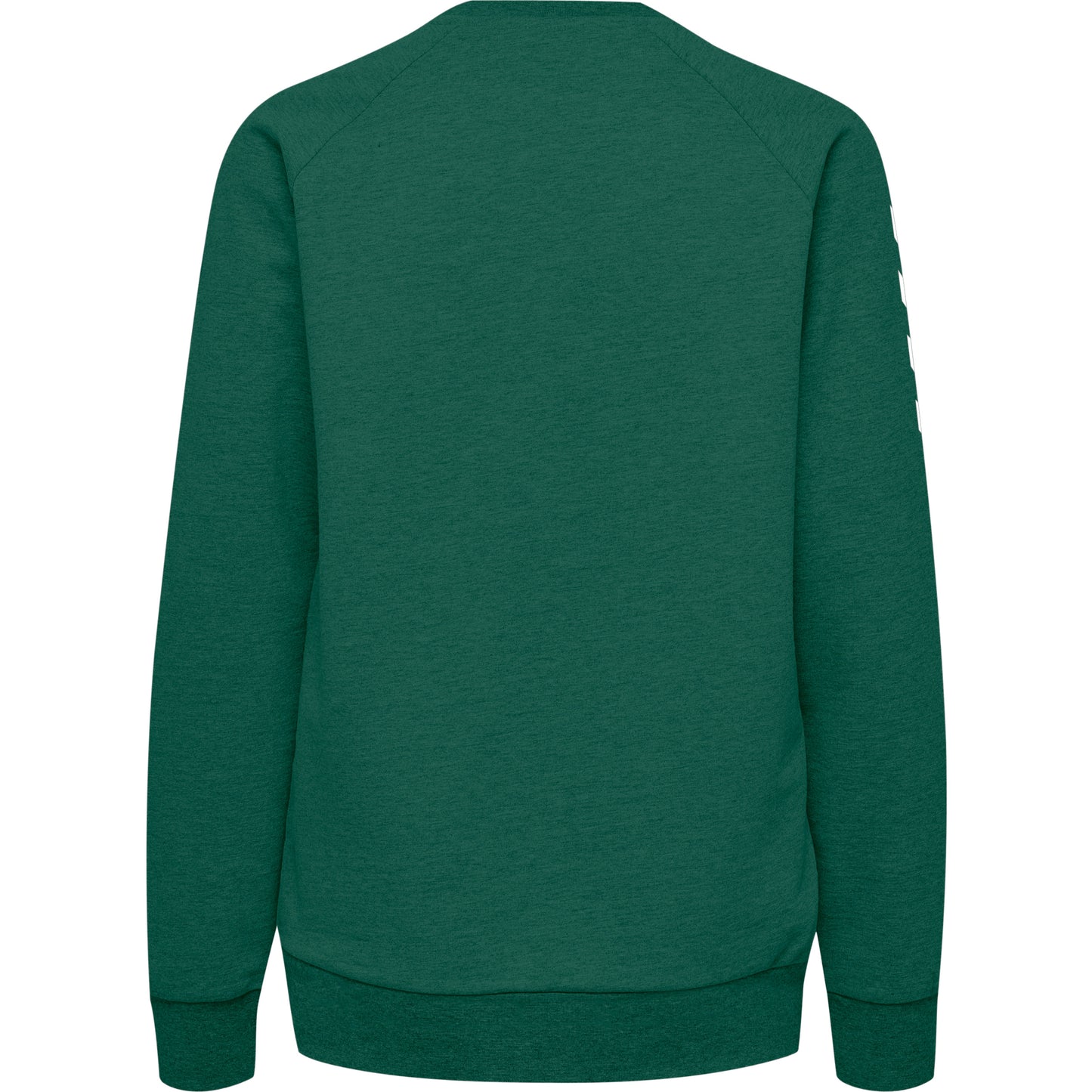 6140-EVERGREEN