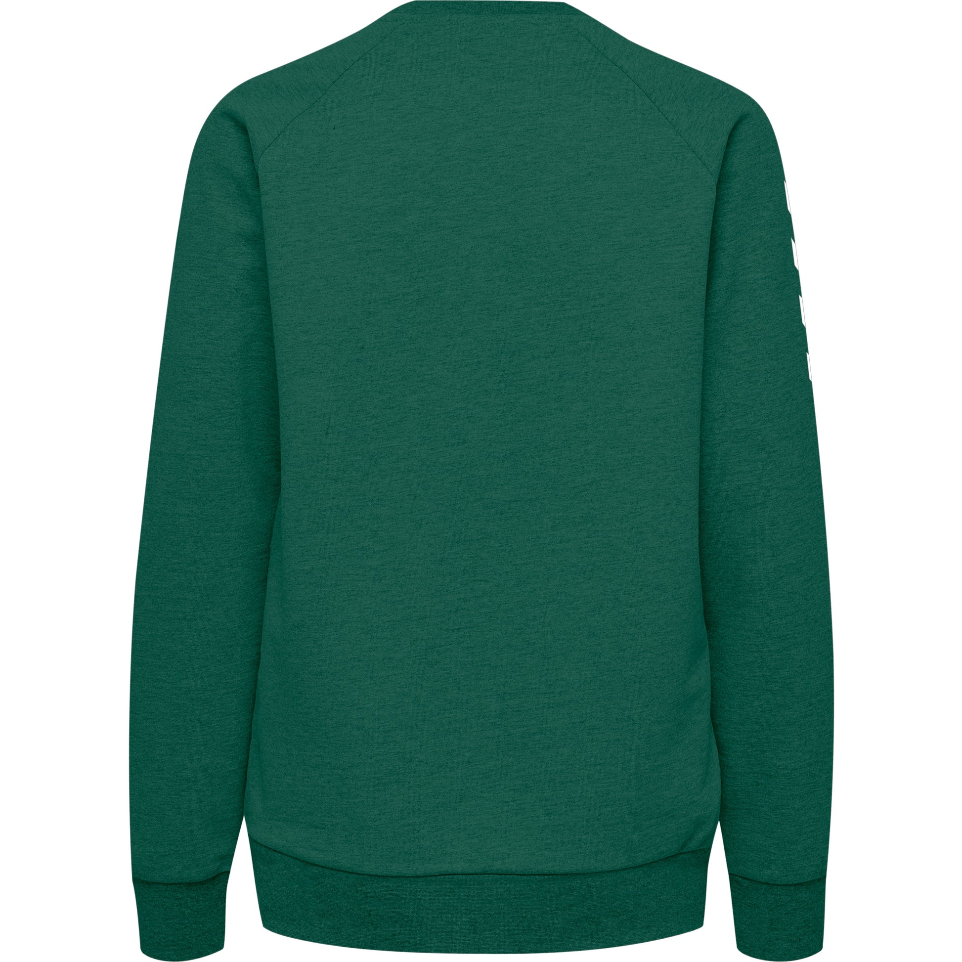 6140-EVERGREEN