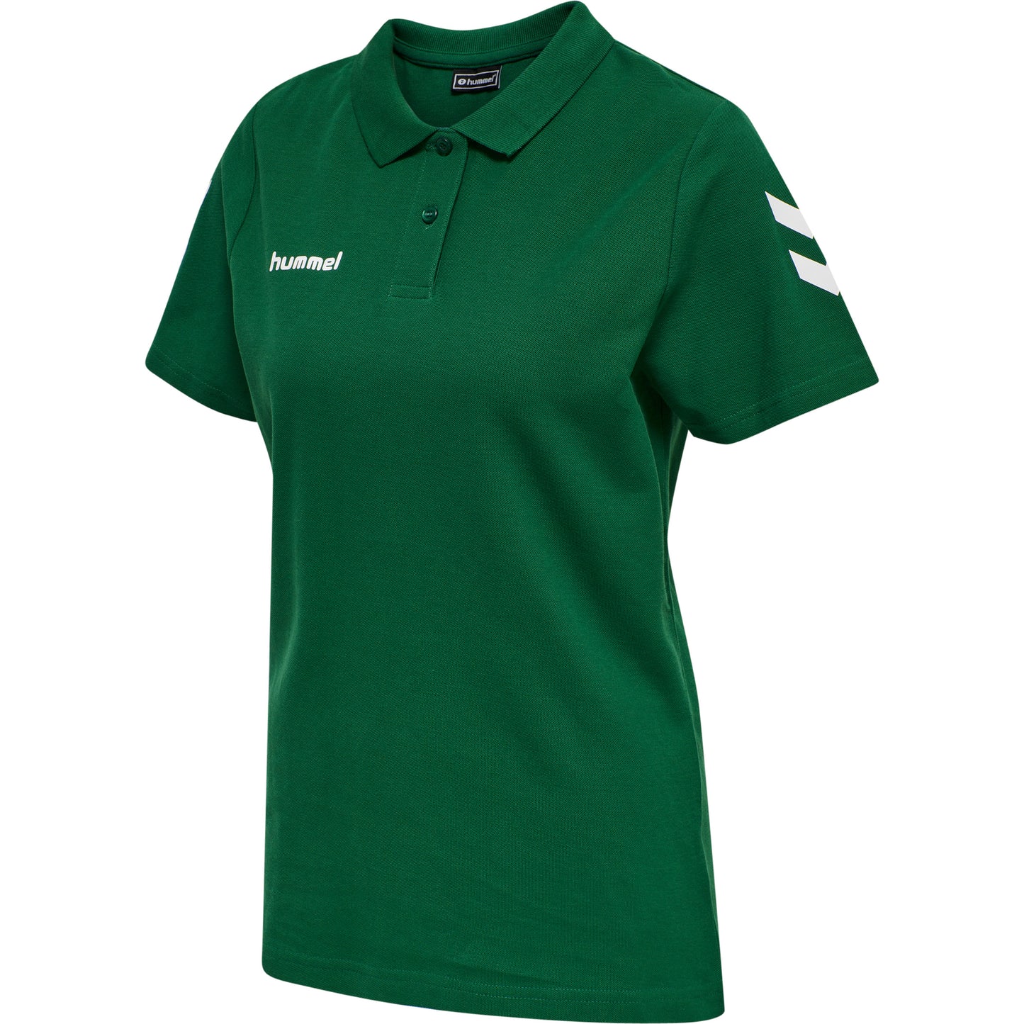 6140-EVERGREEN