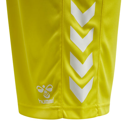 5269-BLAZING YELLOW