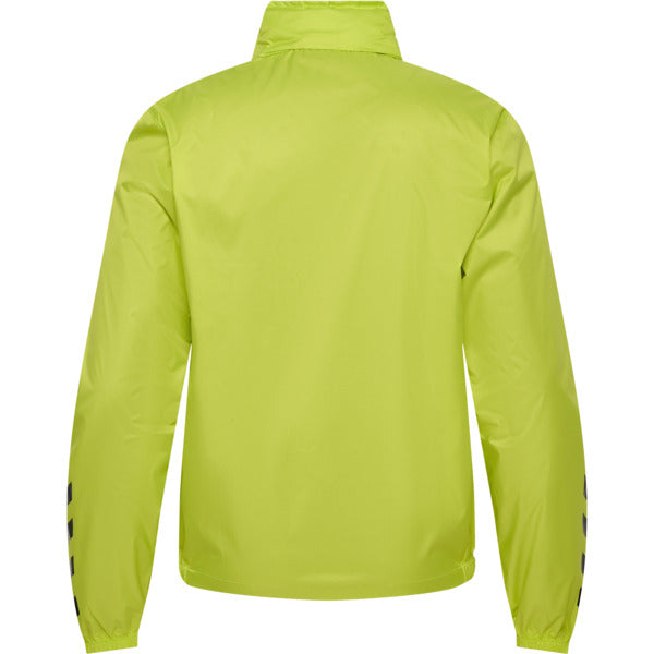 5045-LIME POPSICLE