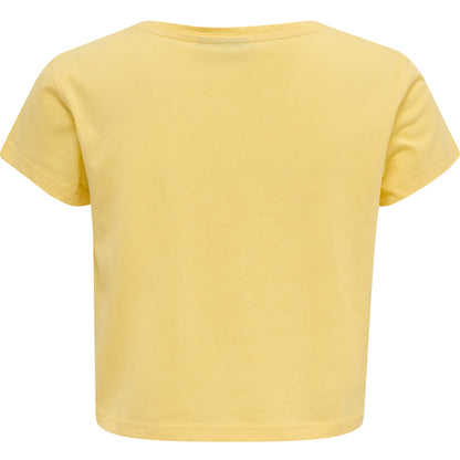 5081-GOLDEN HAZE