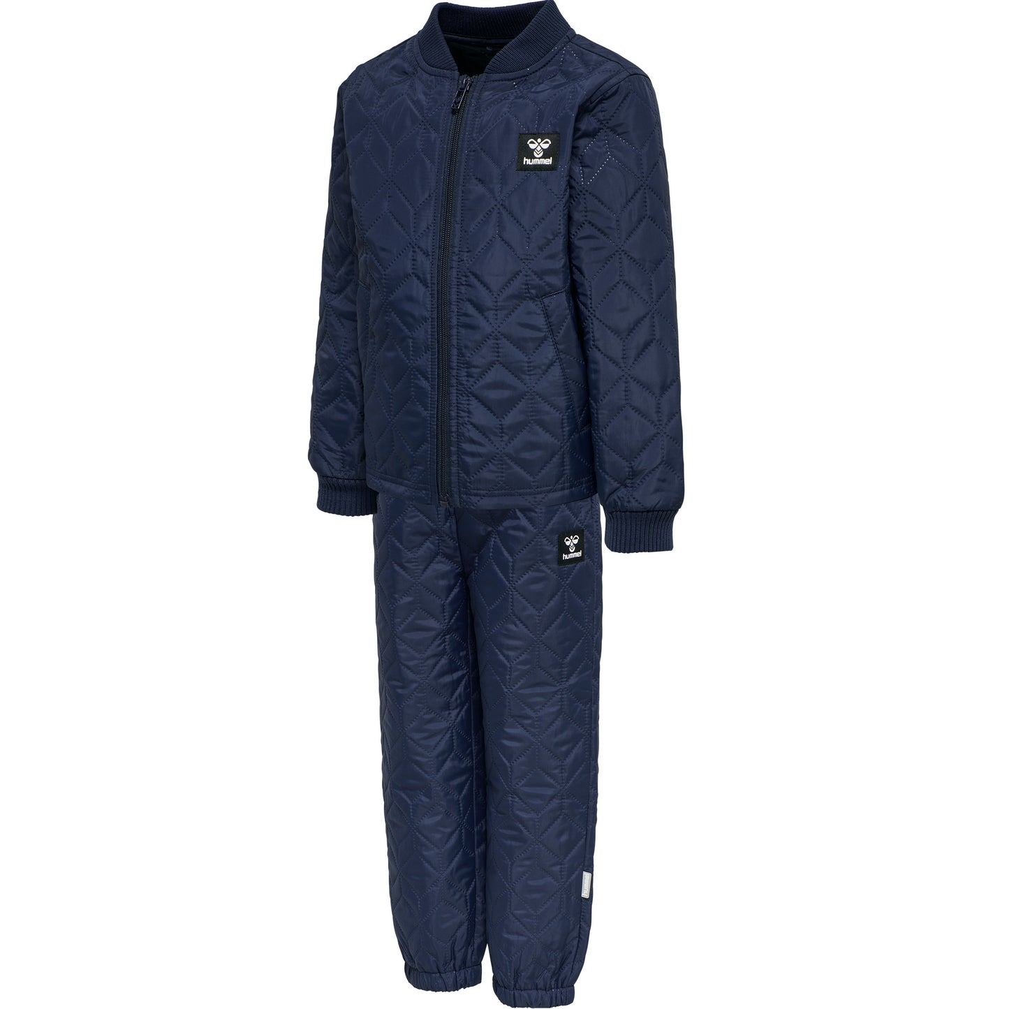 1009-BLACK IRIS