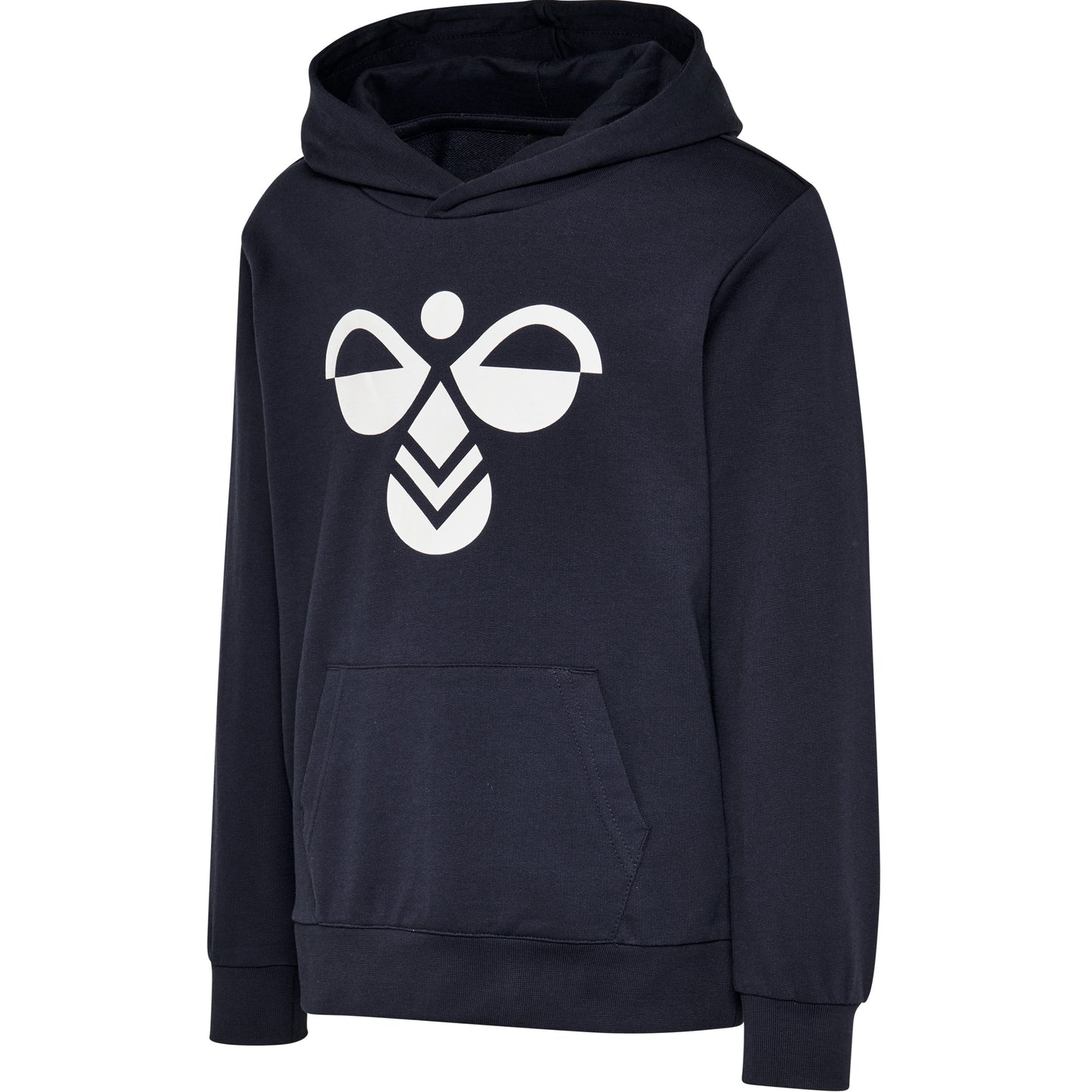 1009-BLACK IRIS