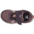 2412-SPARROW