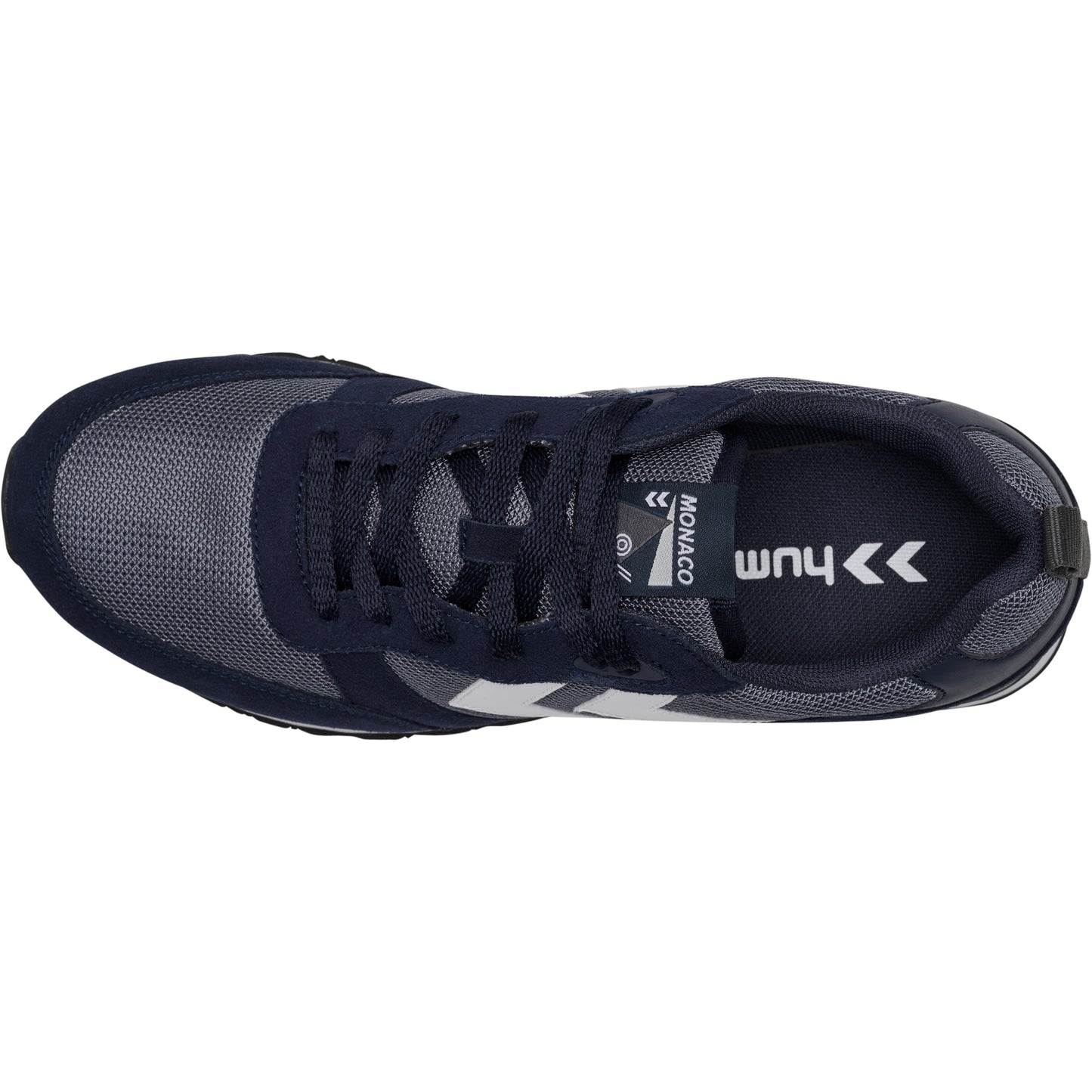 1009-BLACK IRIS
