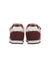3679-CATAWBA GRAPE