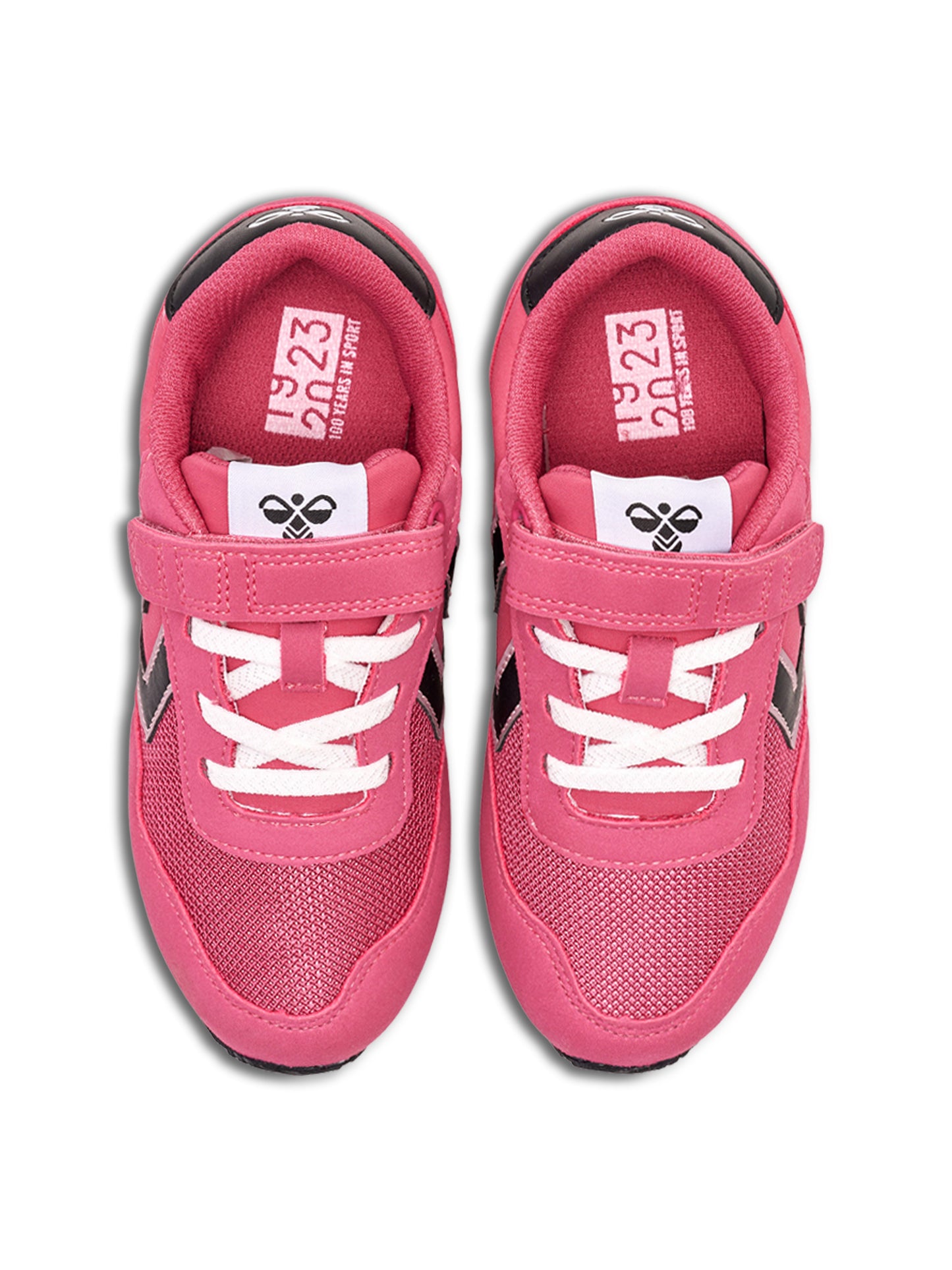 3788-BAROQUE ROSE