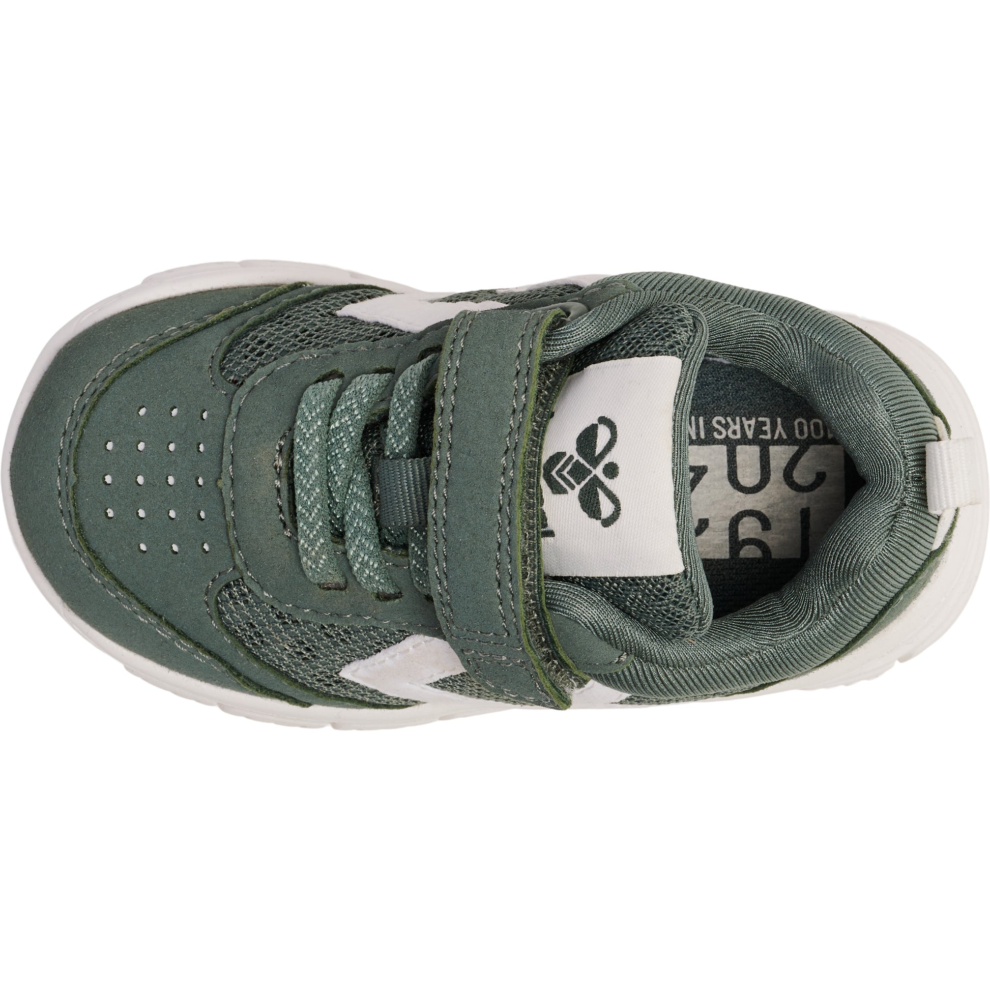 6575-LAUREL WREATH