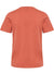 3222-APRICOT BRANDY