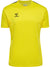 5269-BLAZING YELLOW