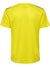 5269-BLAZING YELLOW
