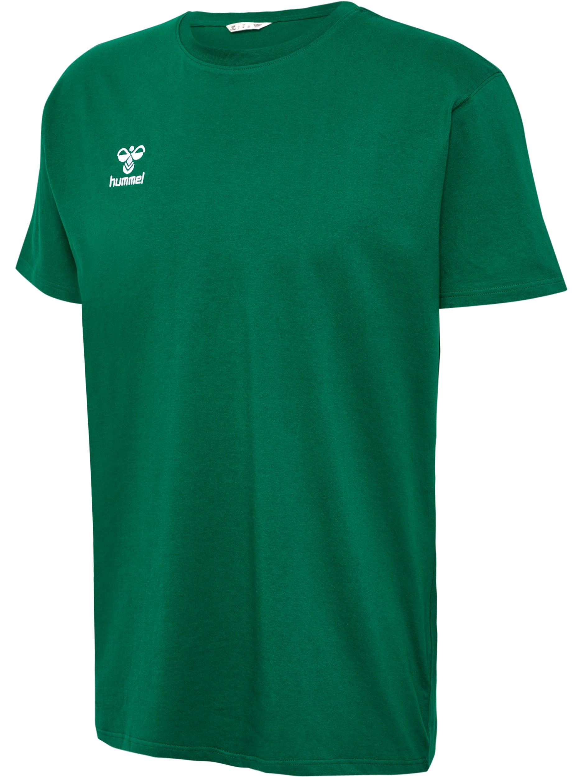 6140-EVERGREEN