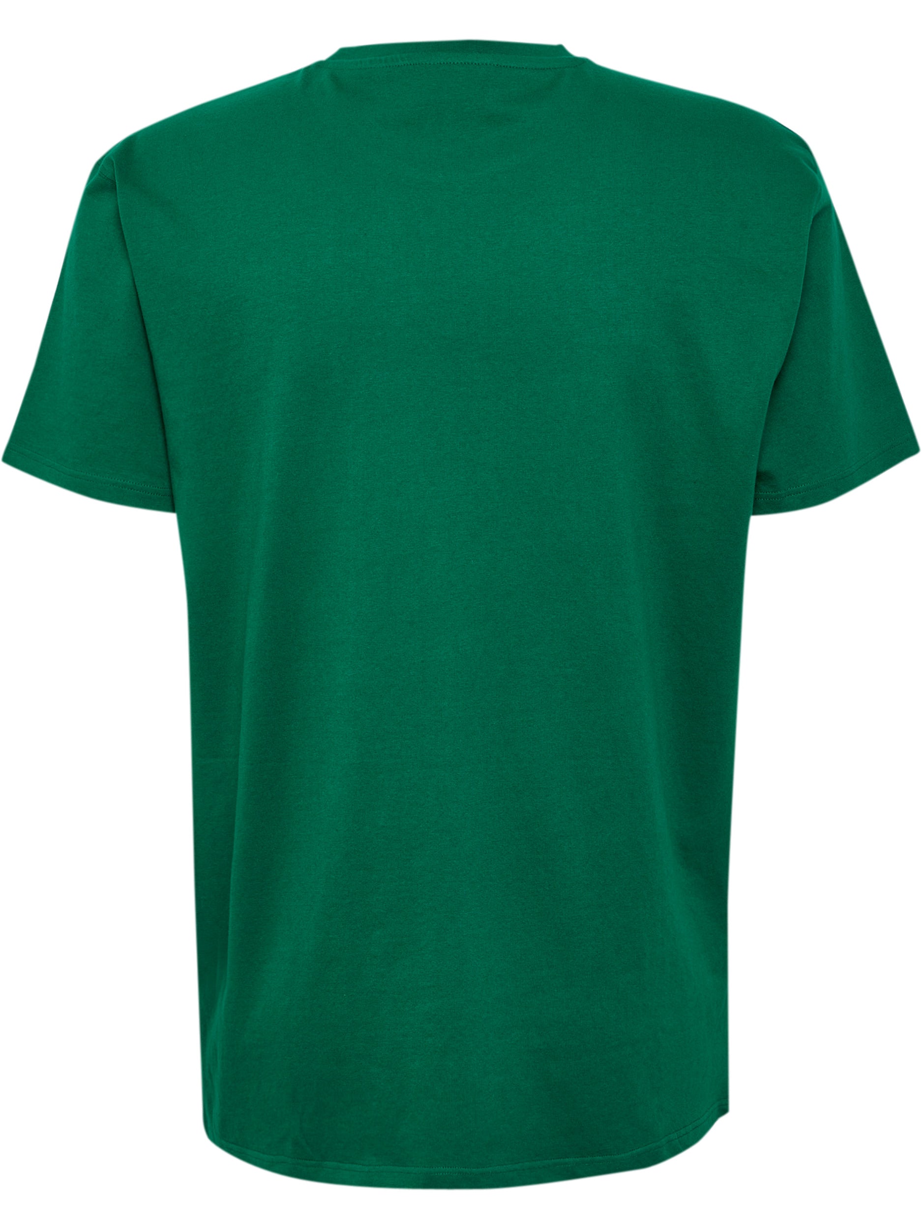 6140-EVERGREEN