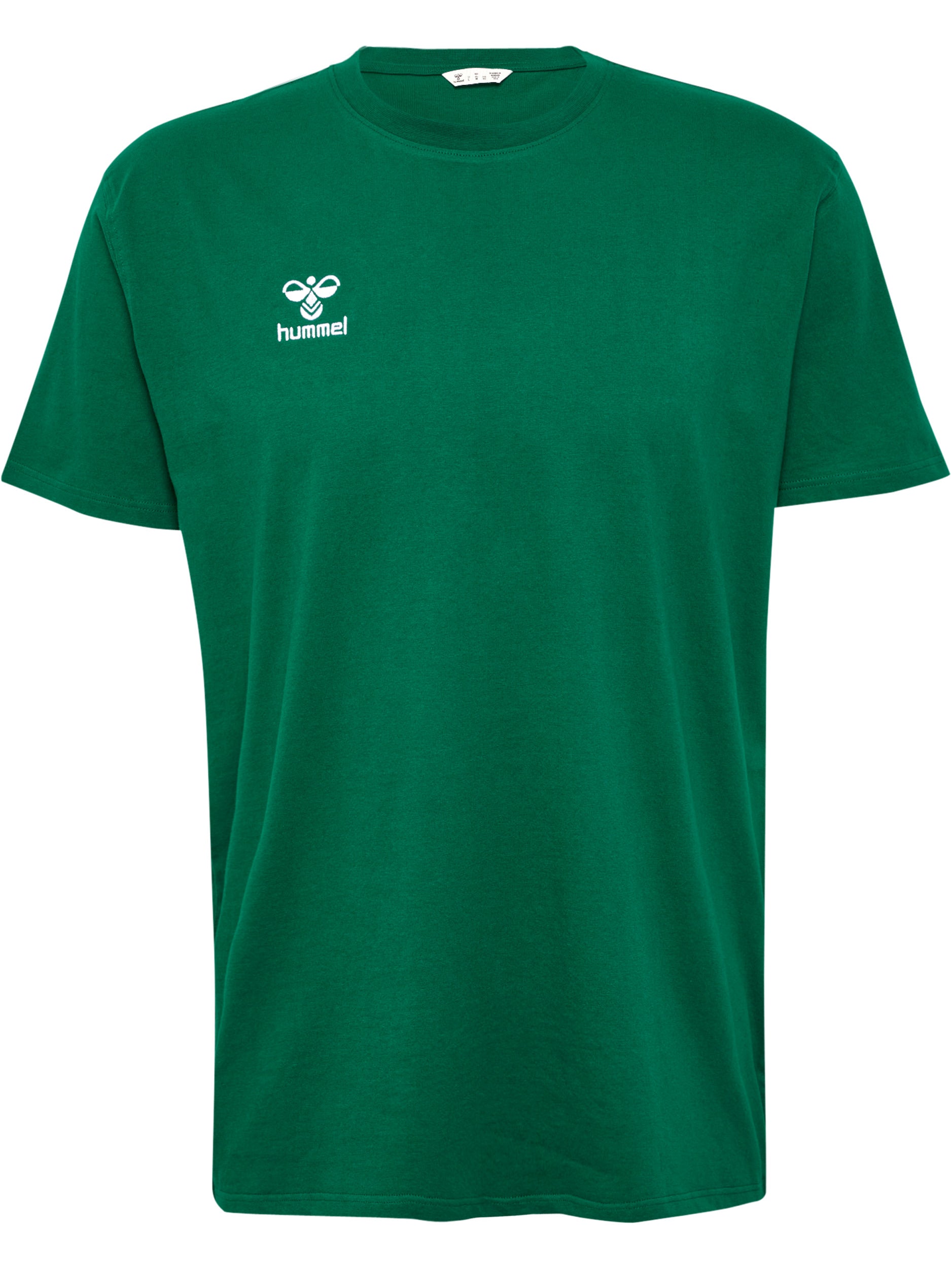 6140-EVERGREEN