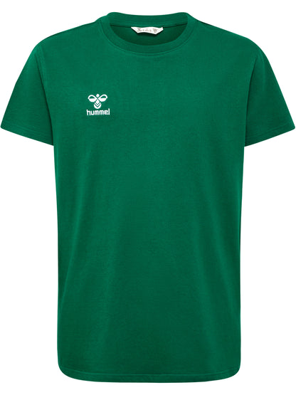 6140-EVERGREEN