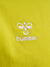 5269-BLAZING YELLOW