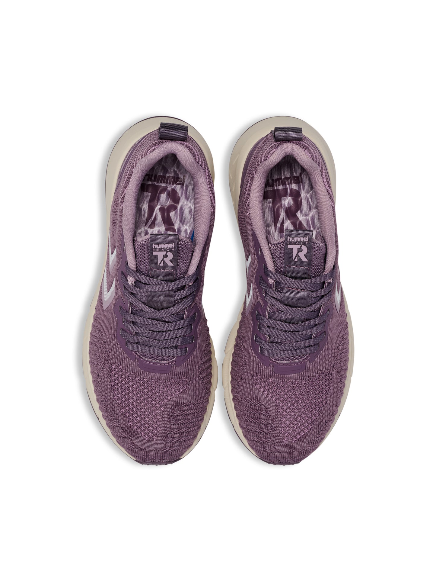 4856-BLACK PLUM