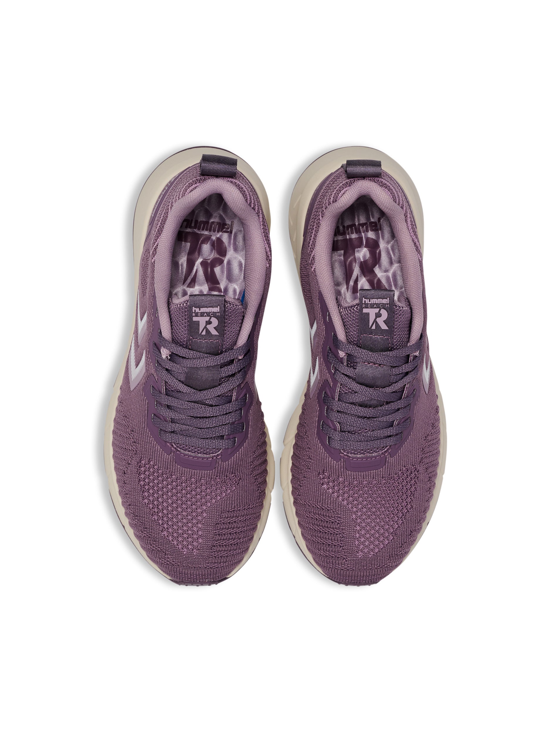 4856-BLACK PLUM