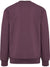 8156-HUCKLEBERRY