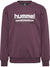 8156-HUCKLEBERRY