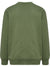 6168-OLIVINE