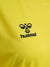 5269-BLAZING YELLOW
