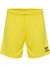 5269-BLAZING YELLOW