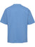 7373-LICHEN BLUE