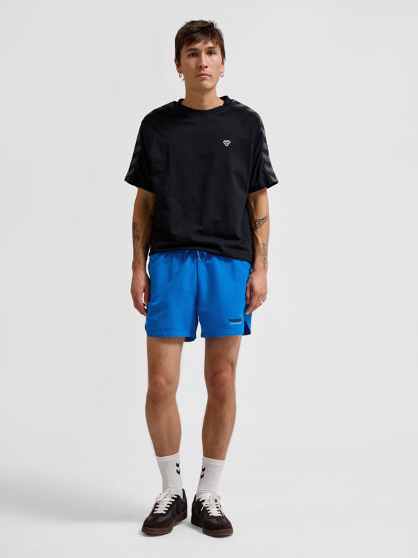 8650-SKYDIVER