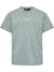 6452-ICEBERG GREEN