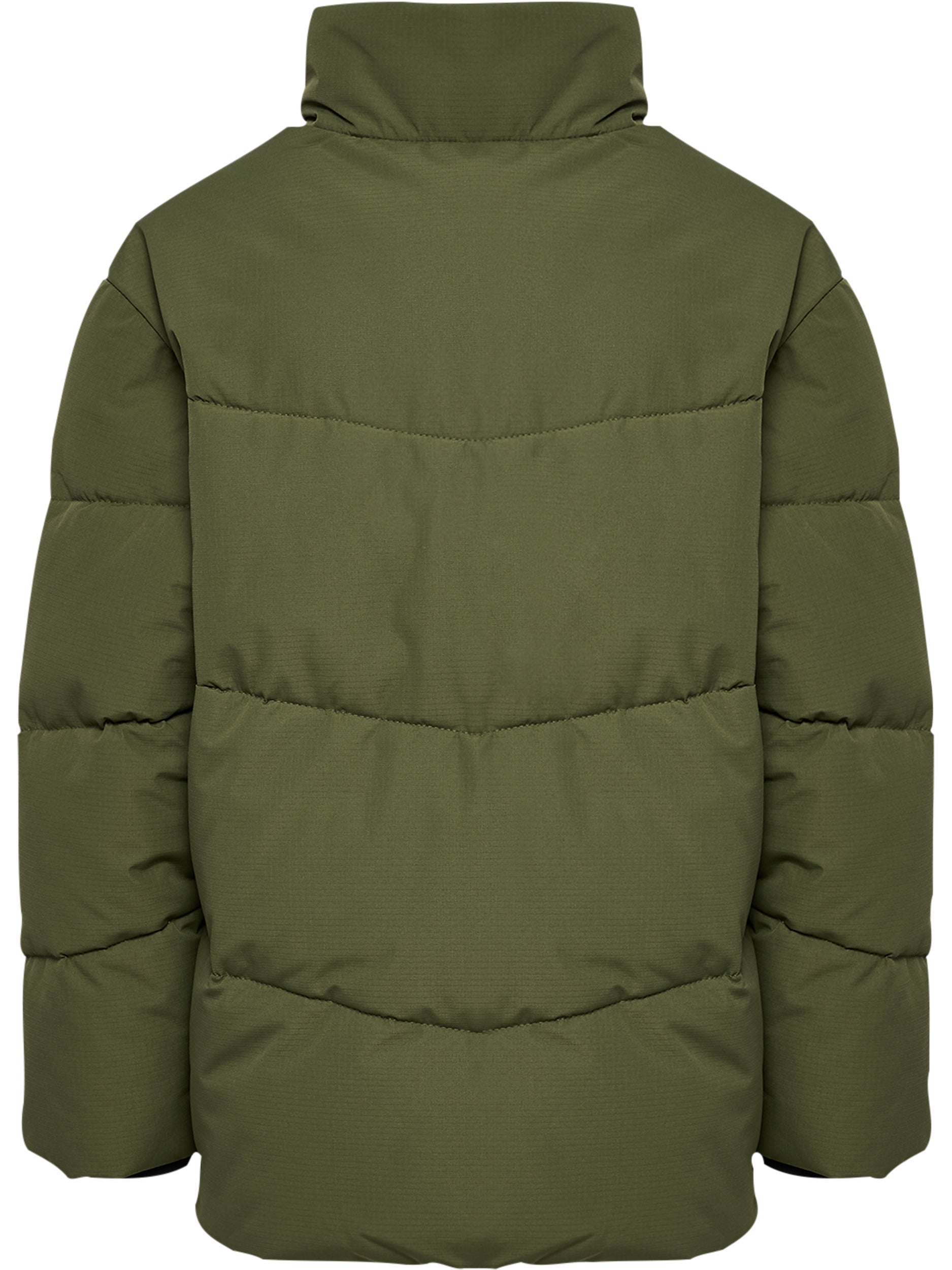 6603-WINTER MOSS