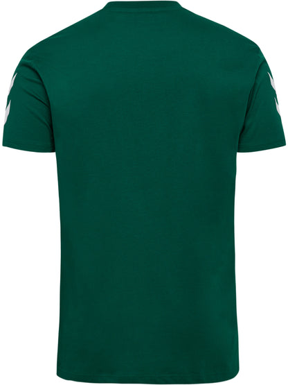 6140-EVERGREEN