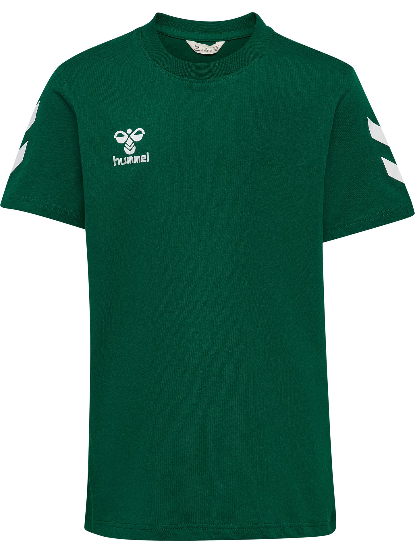 6140-EVERGREEN