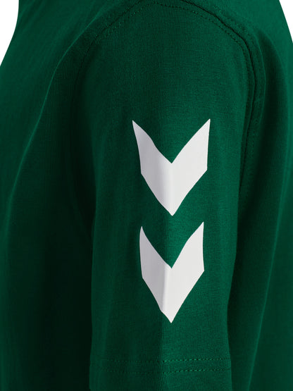 6140-EVERGREEN