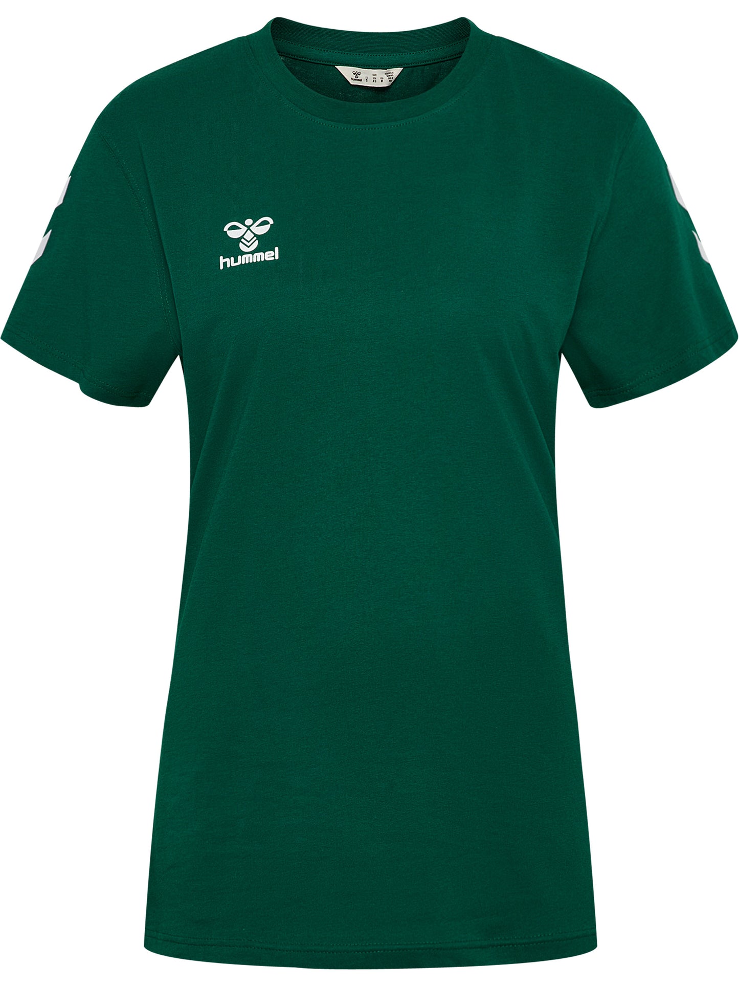 6140-EVERGREEN