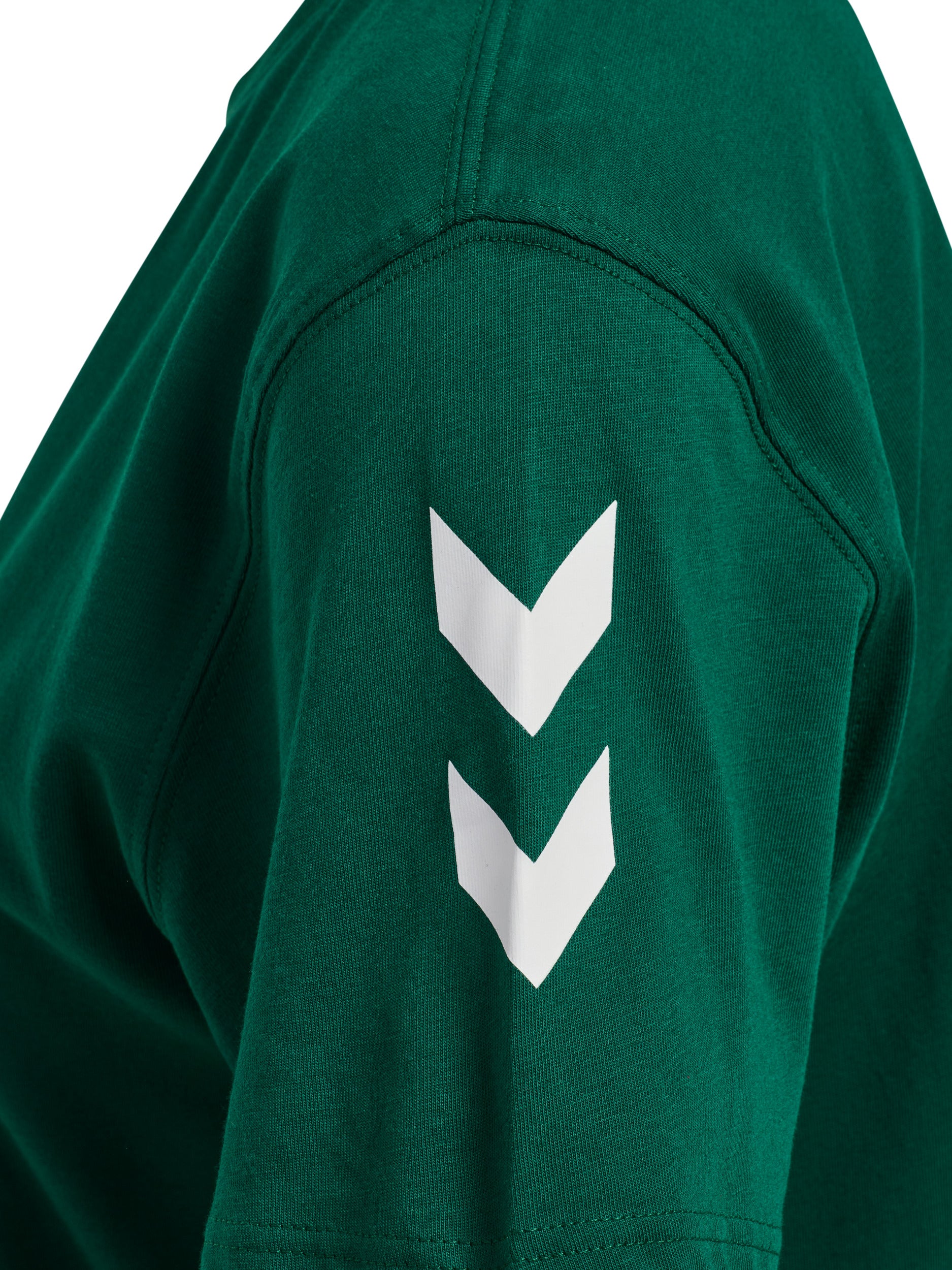 6140-EVERGREEN
