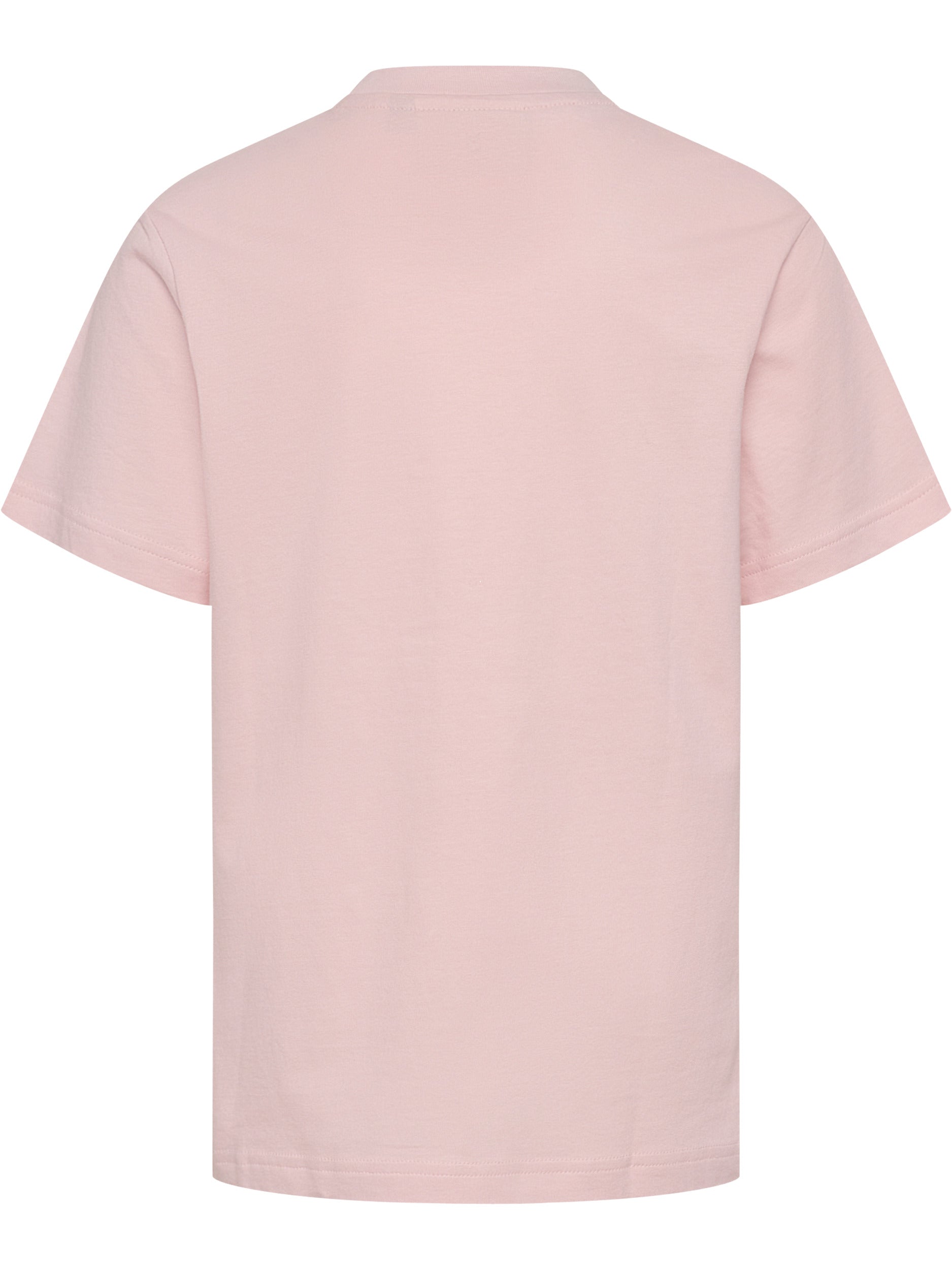 3333-PALE LILAC