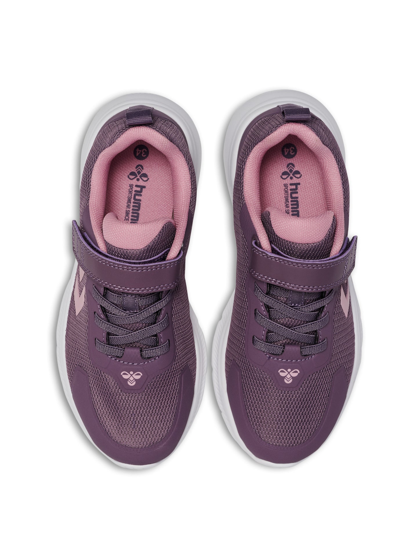 4856-BLACK PLUM