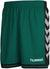 6241-EVERGREEN/BLACK