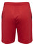 3062-TRUE RED