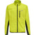 6102-EVENING PRIMROSE