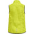6102-EVENING PRIMROSE