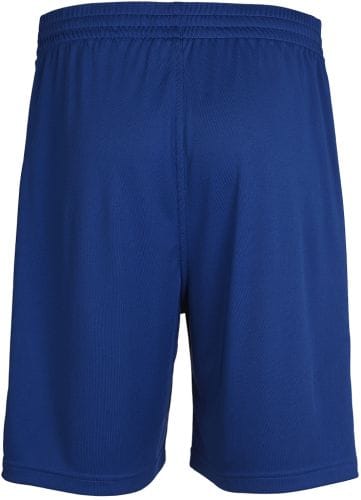 CORE POLY SHORTS