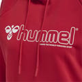 hmlNONI 2.0 HOODIE