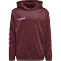 hmlPROMO KIDS POLY HOODIE